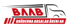 Bröderna Arsalan