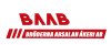 Bröderna Arsalan